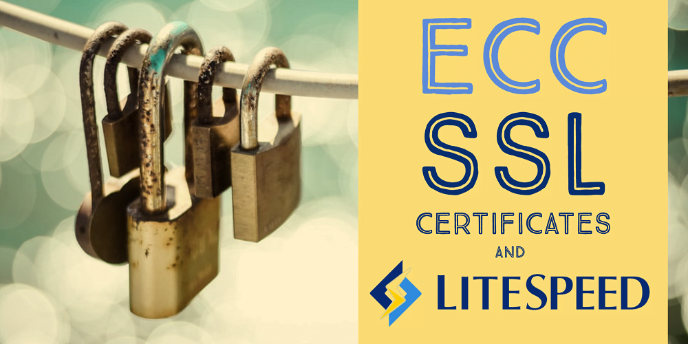 LiteSpeed Ve Ücretsiz SSL Bilgilendirme